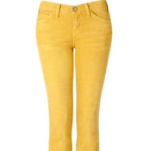 Current/Elliot Marigold Skinny Jean Cords